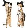 Weewooday 4 Pieces Halloween Pet Costume Set Including 2 Vampire Costume Cloaks 1 Pet Witch Hat and 1 Horn Hat for Cat and Dog Role Play Party Supplies Weewooday 4 Pieces Halloween Pet Costume Set Including 2 Vampire Costume Cloaks 1 Pet Witch Hat and 1 Horn Hat for Cat and Dog Role Play Party Supplies