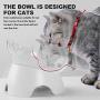 MILIFUN Elevated Double Cat Dog Bowls, Pet Food and Water Bowl with 15°Tilted Raised, Pet Feeding Basic Bowl for Cats Small Dogs and Other Small Animals White