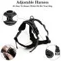Dog Harness No Pull Pet Harness 3M Reflective Adjustable Outdoor Pet Vest Harness Handle Small Medium Large Dogs Training Dog Harness No Pull Pet Harness 3M Reflective Adjustable Outdoor Pet Vest Harness Handle Small Medium Large Dogs Training