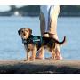 Dihapet No Pull Dog Harness, Adjustable Service Dog Vest, Reflective Easy for Walking Training