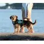 Dihapet No Pull Dog Harness, Adjustable Service Dog Vest, Reflective Easy for Walking Training Dihapet No Pull Dog Harness, Adjustable Service Dog Vest, Reflective Easy for Walking Training