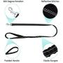 SlowTon No Pull Small Dog Harness and Leash, Heavy Duty Easy for Walk Vest Harness Soft Padded Reflective Adjustable Puppy Harness Anti-Twist Pet Lead Quick Fit for Small Dog Cat Animal