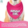 JT PET Dog Birthday Girl Party Dog Birthday Cake Pack with Bandana, Star Spangled Party Hat with Adjustable Elastic, Tassels and Feathery Trim, and Vegan Birthday Pie