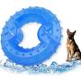 Dog Cooling Toy Puppy Teething Ring Freeze Dogs Chew Toy for Summer Tough Durable Pet Toys