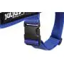 Julius-K9 IDC Color & Gray Belt Harness for Dogs, Size 1