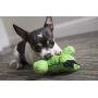 goDog Just For Me TRex With Chew Guard, Green