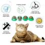 Skylety 4 Pieces Catnip Ball Cat Toys Rotatable Self-Adhesive Catnip Edible Licking Balls Natural Catnip Cat Treats Toys for Cats Kitten Kitty Playing Chewing Cleaning Teeth (Green)