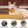 Okls Increase Friendship Pineapple Shaped Food Grade Non-Toxic Pet Dog Teeth Cleaning Molar Chewing Toy Super Durable Clever