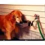 Nelson Automatic Dog Waterer - Model 1200B Nelson Automatic Dog Waterer - Model 1200B
