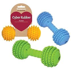 Cyber Rubber Dumbell Medium Dog Toy