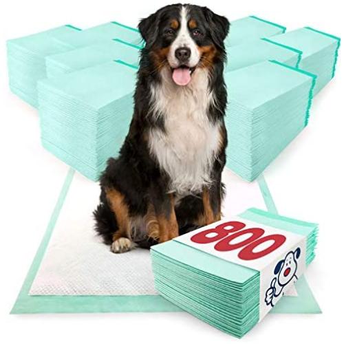 ValuePad Plus Puppy Pads, 800 Count - Premium Pee Pads for Dogs, Tear Resistant, Super Absorbent Polymer Gel Core, 5-Layer Design