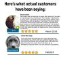 WashBar Natural Dog Shampoo Bar - Natural Bar Soap and Dog Shampoo For Allergies and Itching and Sensitive Skin, Easier to Use Than Liquid Shampoo With No Plastic Bottle Waste, 2 Pack