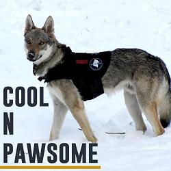 OneTigris K9 Tactical Dog Harness Patrol Dog Vest with Comfortable Adjustable Neck Protection Straps & Durable Handle (Small, Medium, Large Size)