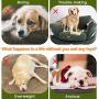 Pawaboo Squeak Plush Dog Toys, Durable Canvas Stuffed Plush Pet Toys, Washable Lifelike Bird-Shaped Chew Toys for Medium, Small Puppy Dog, Suitable for Outdoor and Indoor