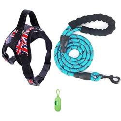 Pet Supplies No Pull Dog Harness with 5 FT Strong Dog Leash and 1 Roll Poop Bag, Adjustable Straps, Breathable Adjustable Comfort for Walking Training Running (L (Chest: 24.8-30.3''))