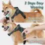 rabbitgoo Dog Harness, Adjustable Dog Walking Harness with Handle and Shock-Absorbing Bungee Straps, Reflective Dog Vest Harness No Choke, Halter Harness with Padded Strap for Medium Dogs, M