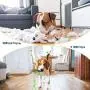 Simpeak 8PCS Pets Puppy Dog Toys for Chewers Set, Small to Medium Dog Chew Rope Toys for Boredom Teething Training, Durable Dog Toys for Puppies Simpeak 8PCS Pets Puppy Dog Toys for Chewers Set, Small to Medium Dog Chew Rope Toys for Boredom Teething Training, Durable Dog Toys for Puppies