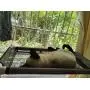 OneManProject Cat Window Perch,Cat Hammock with 4 Suction Cups Space Saving Kitty Resting Seat on Window Sunbath Holds Up to 40 lbs for Any Cat Size OneManProject Cat Window Perch,Cat Hammock with 4 Suction Cups Space Saving Kitty Resting Seat on Window Sunbath Holds Up to 40 lbs for Any Cat Size