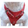 Genuine Leather Dog Harness, 37''-45'' Chest, 1'' Wide Straps. XXLarge. Newfoundland, Great Dane