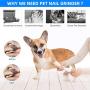 Pet Deluxe Dog Nail Grinder with LED Light, Professional Dog Nail Trimmer Clipper Low Noise 2 Speed Electric Rechargeable Painless Paws Grooming & Smoothing for Small Medium Large Dogs & Cats