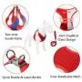 Vehomy Cat Small Dog Vest Harness Leash Set Step in Vest Harness with Soft Gentle Suede Fabrics for Cats Small Dogs Escape Proof Breathable Mesh Pet Harness with Reflective Leash Red Blue L Vehomy Cat Small Dog Vest Harness Leash Set Step in Vest Harness with Soft Gentle Suede Fabrics for Cats Small Dogs Escape Proof Breathable Mesh Pet Harness with Reflective Leash Red Blue L