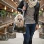 Bergan Comfort Carrier for Pets, Grey, Large 19''L x 10''W x 13''H (88919)