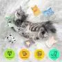 Pet Soft Catnip Cat Toys – Catnip Toys for Indoor Cats, Stuffed Chew Bite Catnip Teething Toy Set for Kitten Pet Soft Catnip Cat Toys – Catnip Toys for Indoor Cats, Stuffed Chew Bite Catnip Teething Toy Set for Kitten