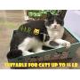 T.F GHG Cat Scratcher Cardboard Multi-Function Scratching Pad with Catnip, Plane & Slope Dual-Purpose Scratching Cardboard,Corrugate Durable Scratching Pad Box,Reversible,Cat Scratching Toy