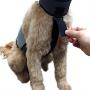 CoolerDog Dog Cooling Vest and Cooling Collar - Ice Vest for Dogs