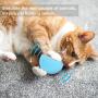 Legendog 3 PCS Cat Toy Ball, Interactive Cat Kicker Toys of 3 Lifelike Animal Chirping Sounds-Bird Frog and Cricket, Funny Kitten Catnip Hunting Toy Balls with Refillable Catnip for Cat Exercise