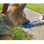 Homes and Lifestyles Portable Dog Water Bottle, Travel Water Bottle for Dogs, 27 Ounces Stainless Steel Lightweight Easy to Carry and Use, Pet Water Bottle for Walking, Hiking, Travel, Park