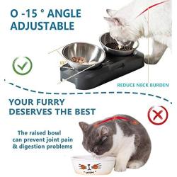 Takezuaa Elevated Cat Bowls, 15° Tilted Raised Cat Food and Water Bowls for Small Size Dog, Food Grade Stainless Steel Nonslip Pet Feeder Bowl