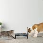 PETMAKER Elevated Pet Bowls with Non Slip Stand Collection