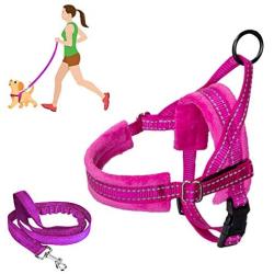 SlowTon No Pull Small Dog Harness and Leash, Heavy Duty Easy for Walk Vest Harness Soft Padded Reflective Adjustable Puppy Harness Anti-Twist Pet Lead Quick Fit for Small Dog Cat Animal