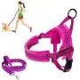 SlowTon No Pull Small Dog Harness and Leash, Heavy Duty Easy for Walk Vest Harness Soft Padded Reflective Adjustable Puppy Harness Anti-Twist Pet Lead Quick Fit for Small Dog Cat Animal SlowTon No Pull Small Dog Harness and Leash, Heavy Duty Easy for Walk Vest Harness Soft Padded Reflective Adjustable Puppy Harness Anti-Twist Pet Lead Quick Fit for Small Dog Cat Animal