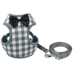 RYPET Small Dog Harness and Leash Set - No Pull Pet Harness with Soft Mesh Nylon Vest for Small Dogs and Cats