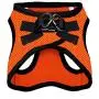 Best Pet Supplies Voyager Step-in Air Dog Harness - All Weather Mesh, Step in Vest Harness for Small and Medium Dogs Orange Base, XL (Chest: 21-23''), 207T-ORB-XL Best Pet Supplies Voyager Step-in Air Dog Harness - All Weather Mesh, Step in Vest Harness for Small and Medium Dogs Orange Base, XL (Chest: 21-23''), 207T-ORB-XL