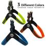 GEILHOPET Dog Harness and Leash Set