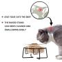 MUZITY Glass Raised Cat Small Dog Dishes, 20 Ounces Pet Food or Water Bowls with Metal Stand, Transparent