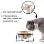 MUZITY Glass Raised Cat Small Dog Dishes, 20 Ounces Pet Food or Water Bowls with Metal Stand, Transparent MUZITY Glass Raised Cat Small Dog Dishes, 20 Ounces Pet Food or Water Bowls with Metal Stand, Transparent