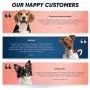 Vets Preferred Oatmeal Dog Shampoo for Dogs - 5 in 1 Pet Shampoo for Dogs & Puppy Shampoo for Dogs Over 12 Weeks, Hypoallergenic Dog Shampoo with Coconut, Oatmeal, & Aloe (16oz) - 2-Pack Vets Preferred Oatmeal Dog Shampoo for Dogs - 5 in 1 Pet Shampoo for Dogs & Puppy Shampoo for Dogs Over 12 Weeks, Hypoallergenic Dog Shampoo with Coconut, Oatmeal, & Aloe (16oz) - 2-Pack