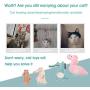 ELOPAW Catnip Toys for Indoor Cats 6 Pcs Cat Toys with Catnip Interactive Kitty Plush Chew Toys