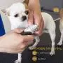 DADYPET Dog Nail Grinder, Electric Pet Paw Trimmer Clipper for Dog Cat Portable & Rechargeable Gentle Painless Paws Grooming Trimming Shaping Smoothing DADYPET Dog Nail Grinder, Electric Pet Paw Trimmer Clipper for Dog Cat Portable & Rechargeable Gentle Painless Paws Grooming Trimming Shaping Smoothing