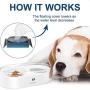 QUXIANG Double Dog Cat Bowls Gravity Pet Food Feeder and Water Dispensers Pet Automatic Water Dispenser Detachable Dog Feeder Bowl No-Spill Pet Food Water Bowls Suit for Cats and Medium/Small Dogs