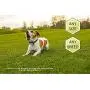 Downtown Pet Supply Rechargeable Citronella Anti-Bark No Shock Safe & Humane No Barking Water Resistant Dog Training Collar for Small, Medium, and Large Pets (with or Without Citronella Canister) Downtown Pet Supply Rechargeable Citronella Anti-Bark No Shock Safe & Humane No Barking Water Resistant Dog Training Collar for Small, Medium, and Large Pets (with or Without Citronella Canister)