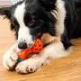 ShiLei Interactive Dog bite Toy, Tough and Durable Environmentally Friendly Rubber, Interesting Dumbbell Leak Design, Detachable, bite Resistant