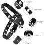 Dog Puzzle Toy for Pets and Leather Cat Collar Moon
