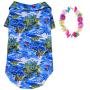 Rubies Costume Luau Pet Costume