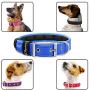 Metric USA Comfort Fit Soft Padded Dog Collar for Small Medium Large Dogs with Buckle Adjustable Comfortable Pet Collar, Blue, Small (6.5''-9'')