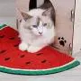 CHONGWDZ Pet mat Scratch Board Cute Cat Scratch Board Natural Sisal Cat Scratch Resistant Scratch Watermelon Blanket Cat Scraper Mat Pet Products